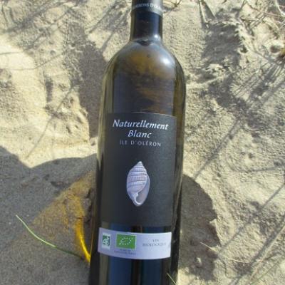 VIN BIO NATURELLEMENT BLANC