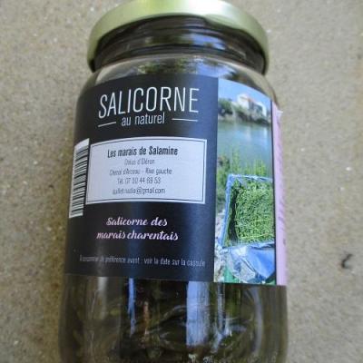 Salicornes au naturel 