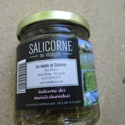 Salicorne  au vinaigre de cidre 