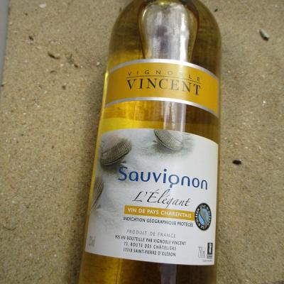 sauvignon vignoble vincent