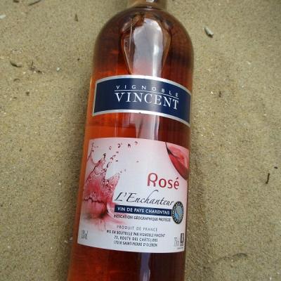 rosé vignoble vincent